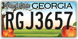 Georgia, ABC 1234