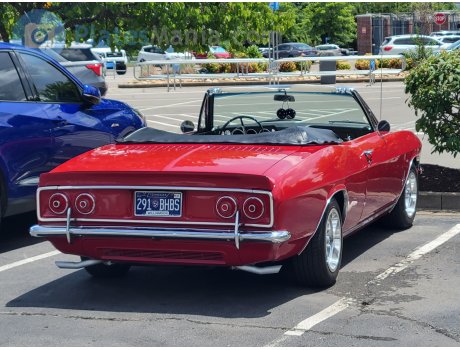 291-BHBS, Chevrolet Corvair