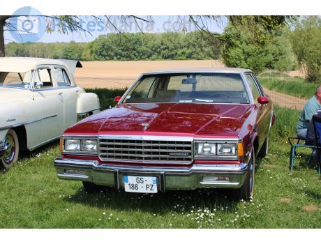 GS-186-PZ, Chevrolet Caprice