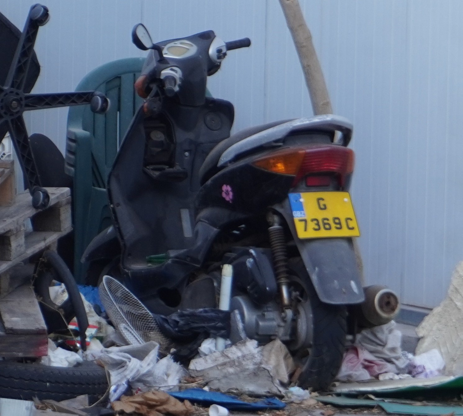 G 7369 C, Yamaha Cygnus 