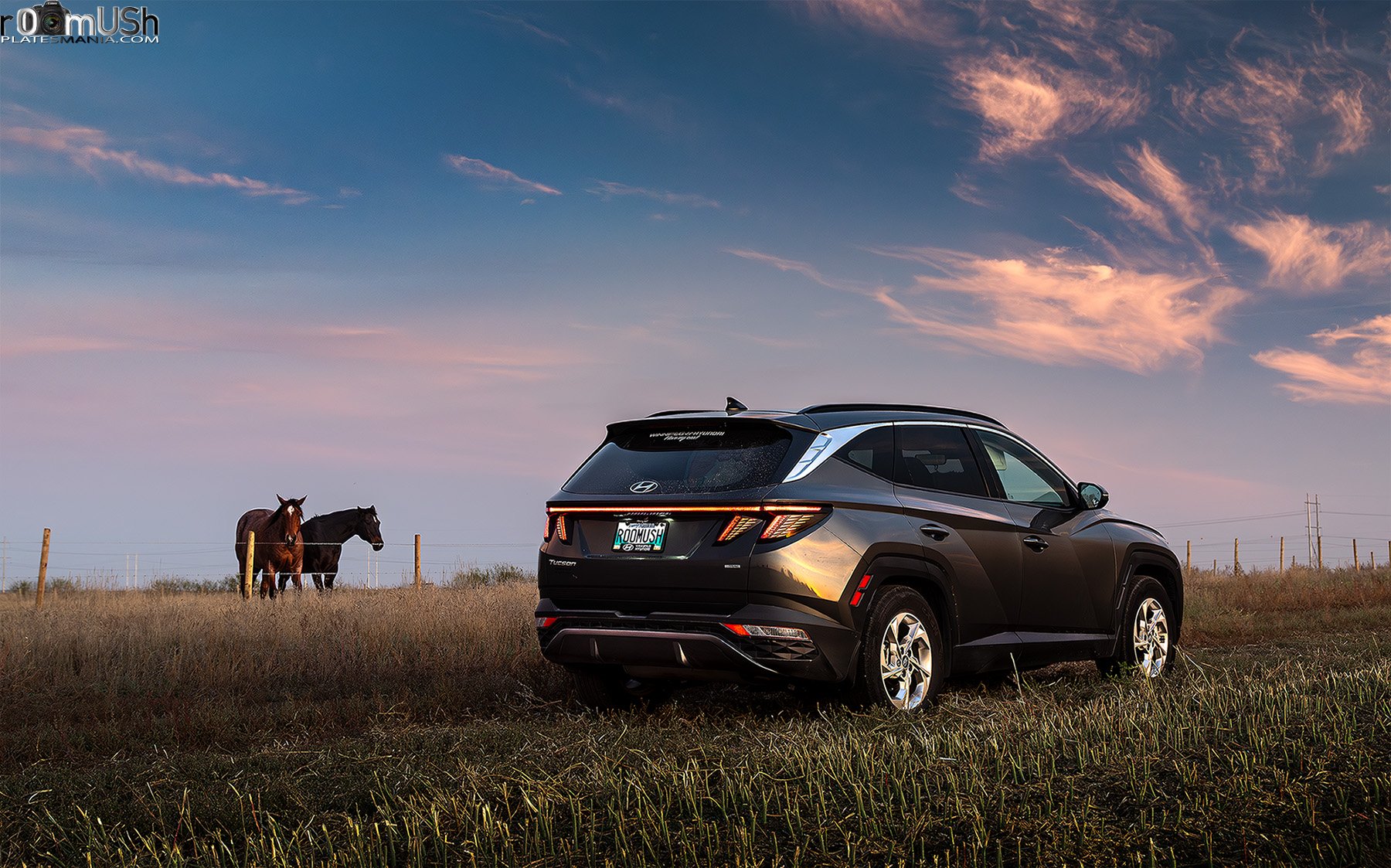 ROOMUSH, Hyundai Tucson 4th gen (NX4), 2020–2024