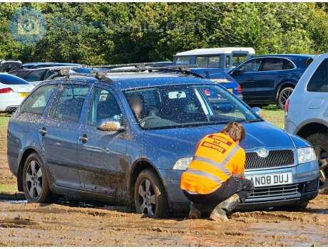 AN08 DUJ, Skoda Octavia