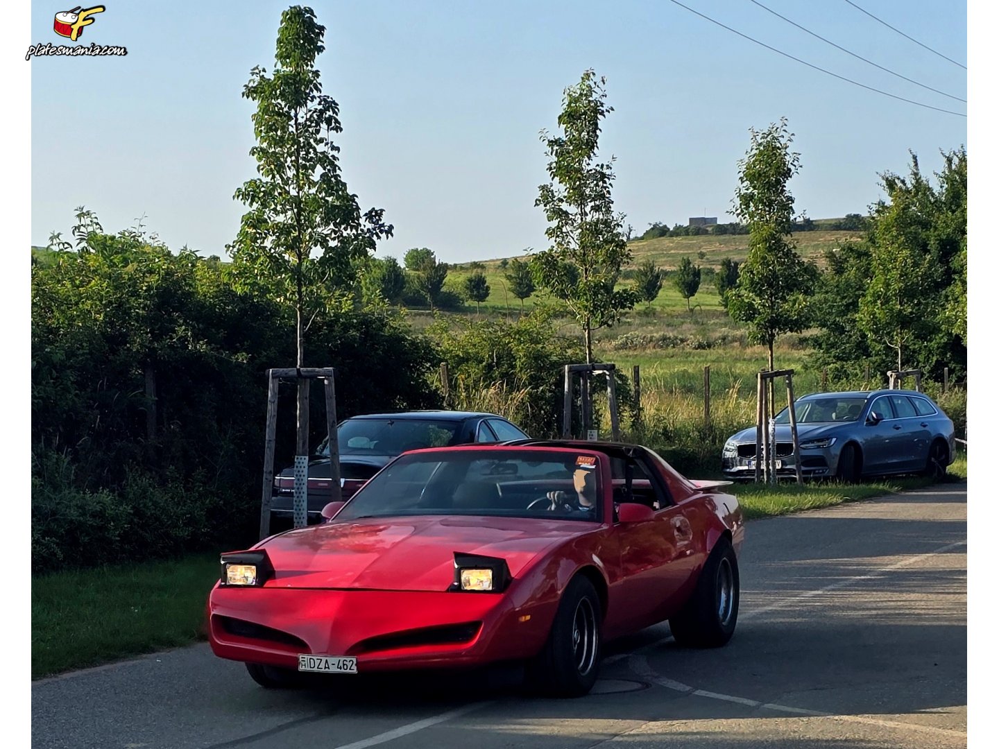 DZA-462, Pontiac Firebird 3rd gen Targa (FW2/87; F-body), facelift, 1990–1992