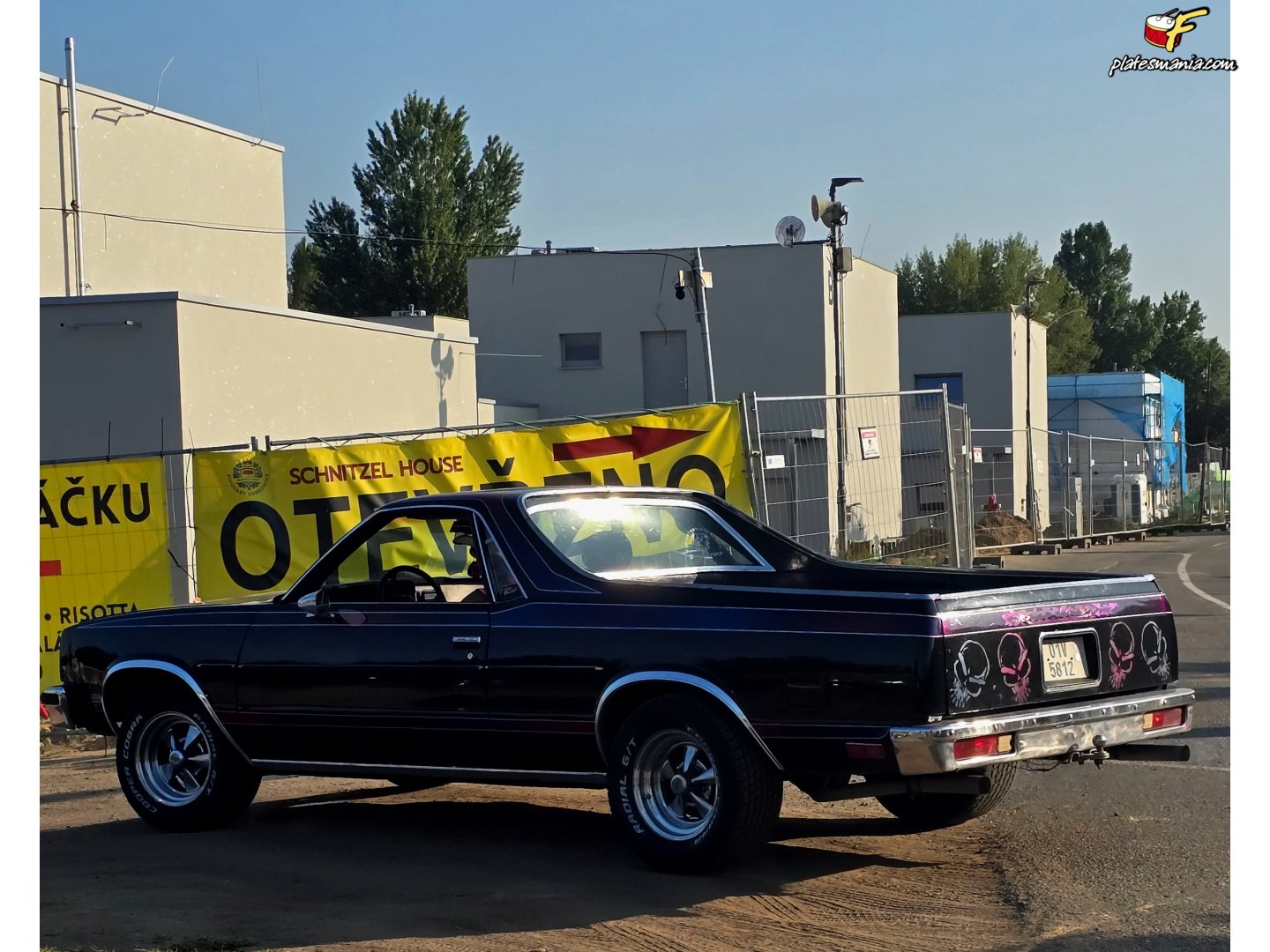 01V 5812, Chevrolet El Camino 5th gen (80; A-body), 1977–1981