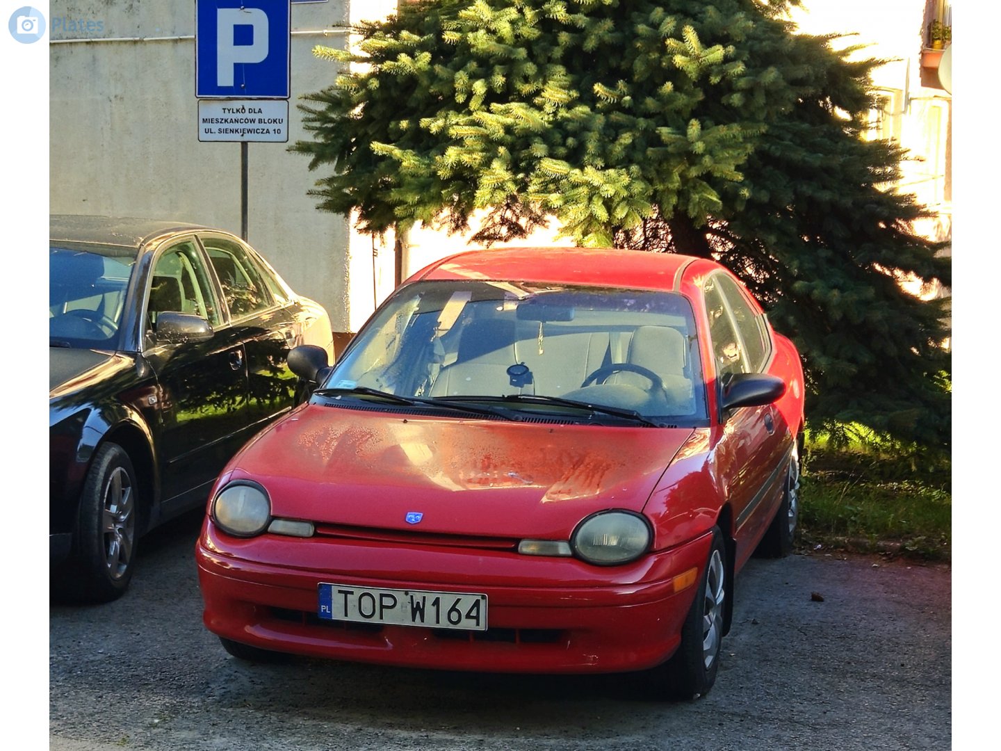 TOP W164, Dodge Neon 1st gen Sedan (PL), 1993–1999