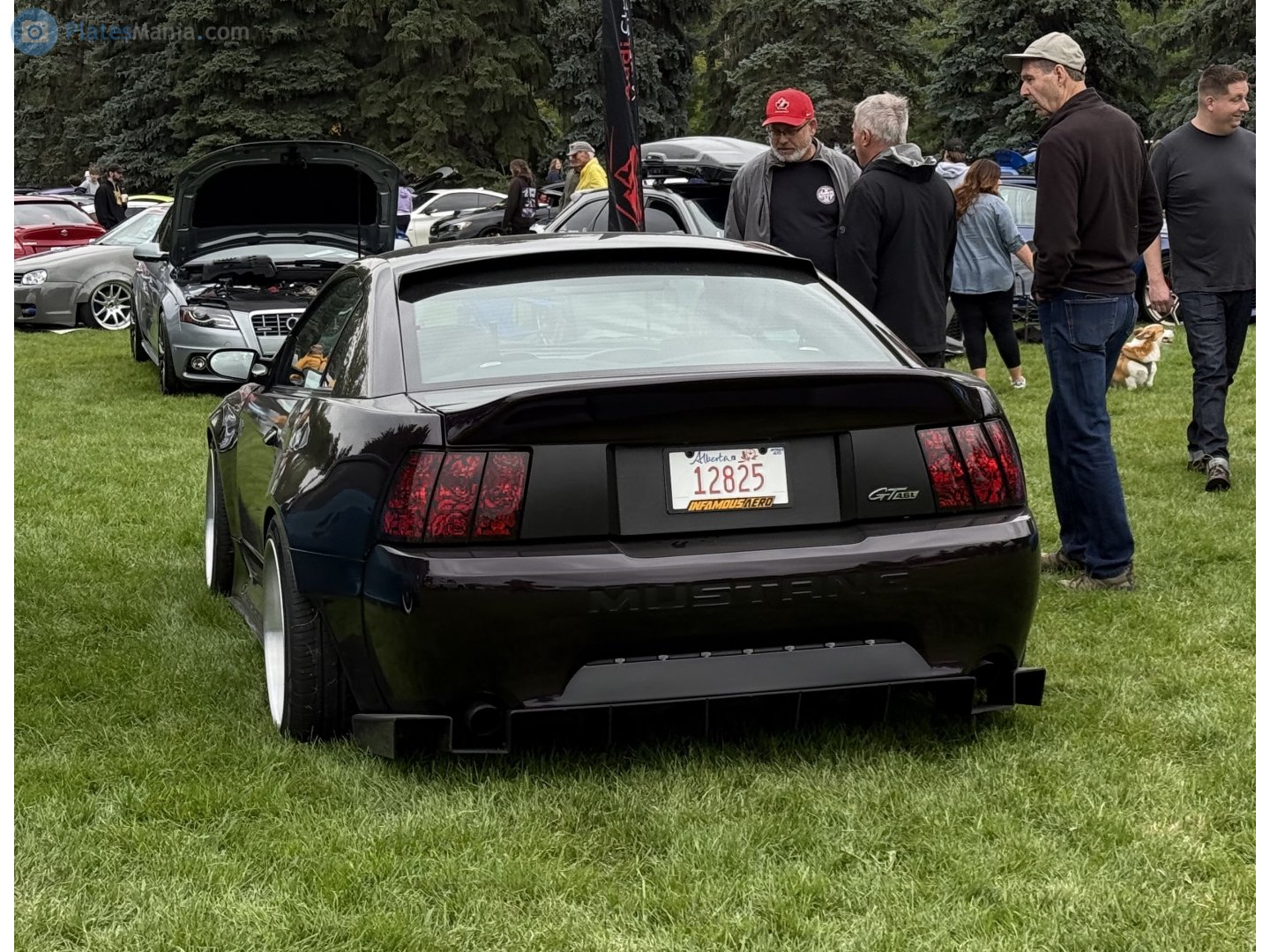 12825, Ford Mustang 4th gen 2-door Coupé (SN95), facelift, 1998–2004