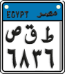 ٦٨٣٦ صقط