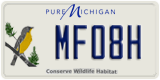 Michigan, Specialty plates (AB12C)
