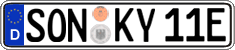 German license plate, Electric vehicles