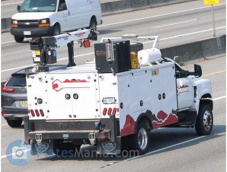 WW-3803, International CV Series