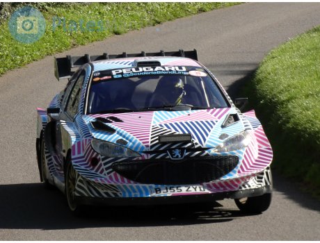 BJ55 ZYD, Peugeot 206