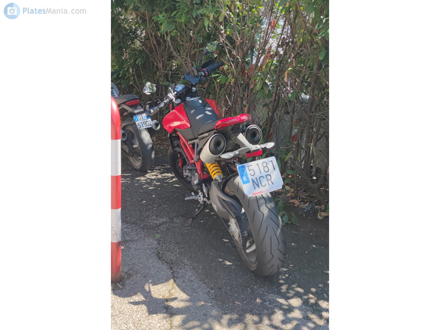 5181 NCR, Ducati Hypermotard 3rd gen, 2019–