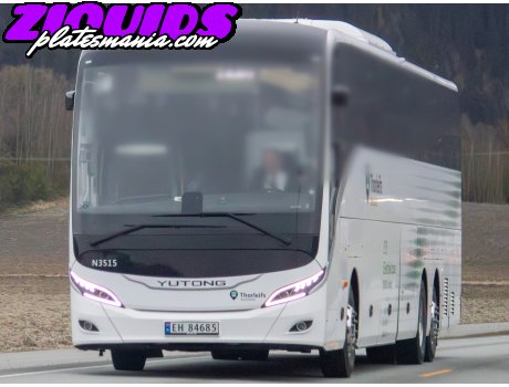 EH 84685, Yutong T122