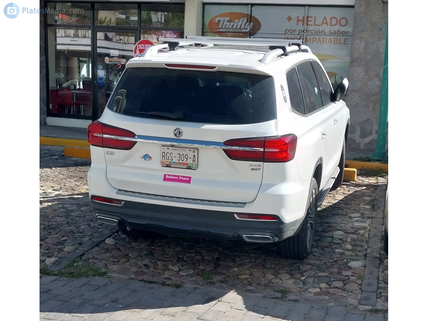 RGS-309-A, MG RX8 1st gen, 2019–