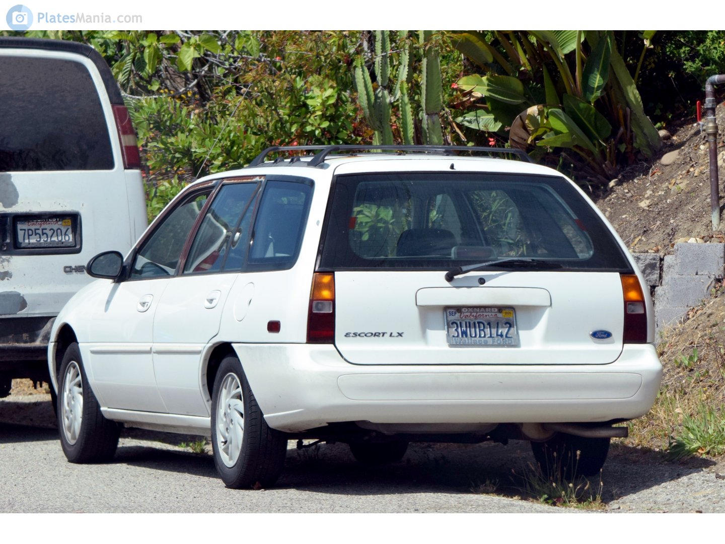 3WUB142, Ford Escort 6th gen Station Wagon (BG; NA-market), 1997–1999