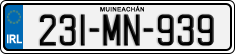 231-MN-939