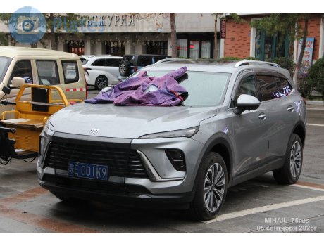 蒙E·001K9, Buick Envision