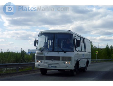 о825са89, PAZ 3205