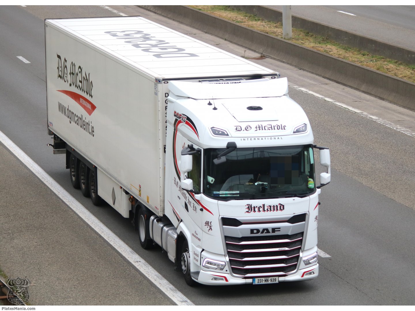 231-MN-939, DAF XG 1st gen, 2021–