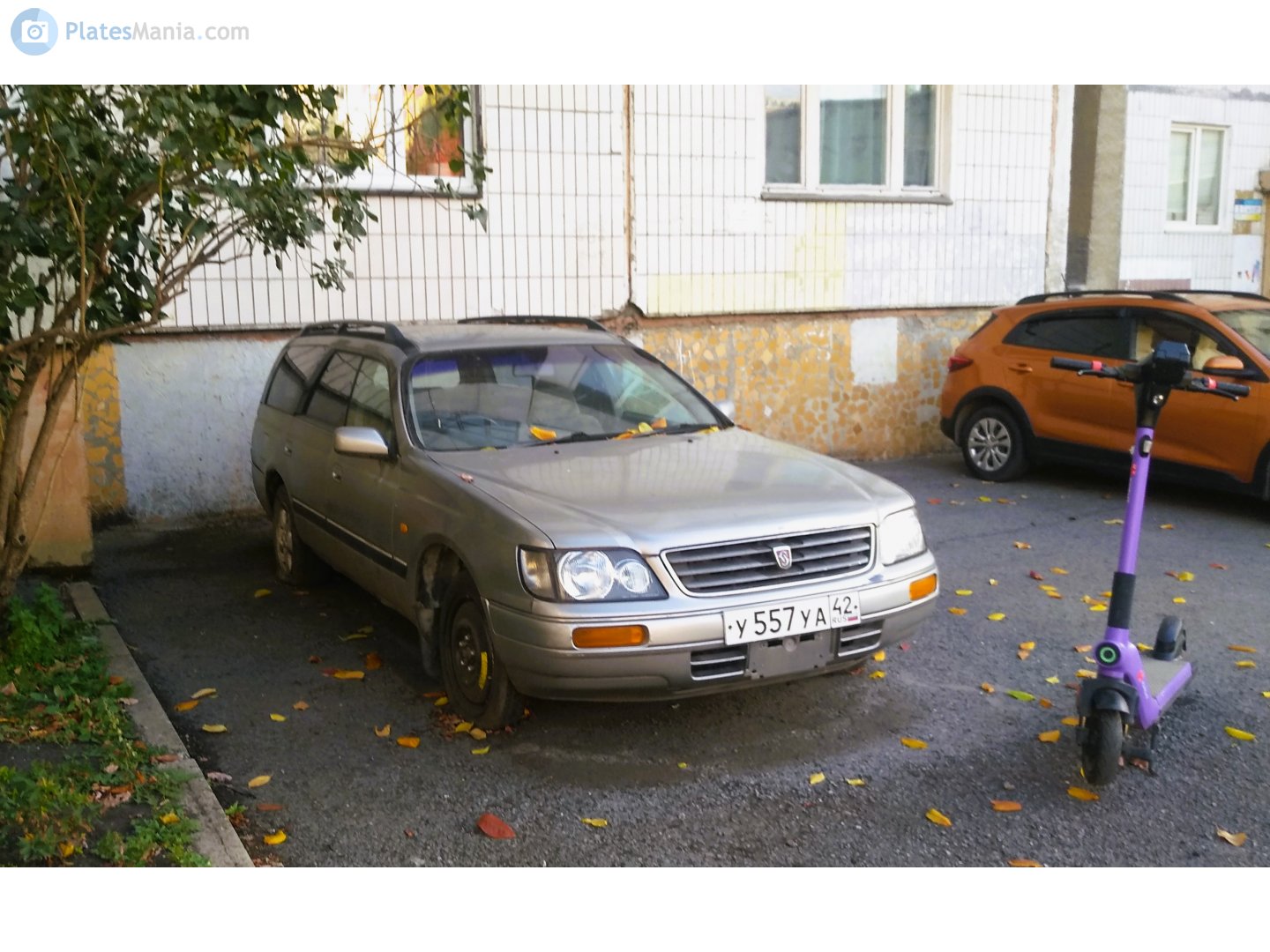 у 557 уа 42, Nissan Stagea 1st gen (WC34), 1996–2001
