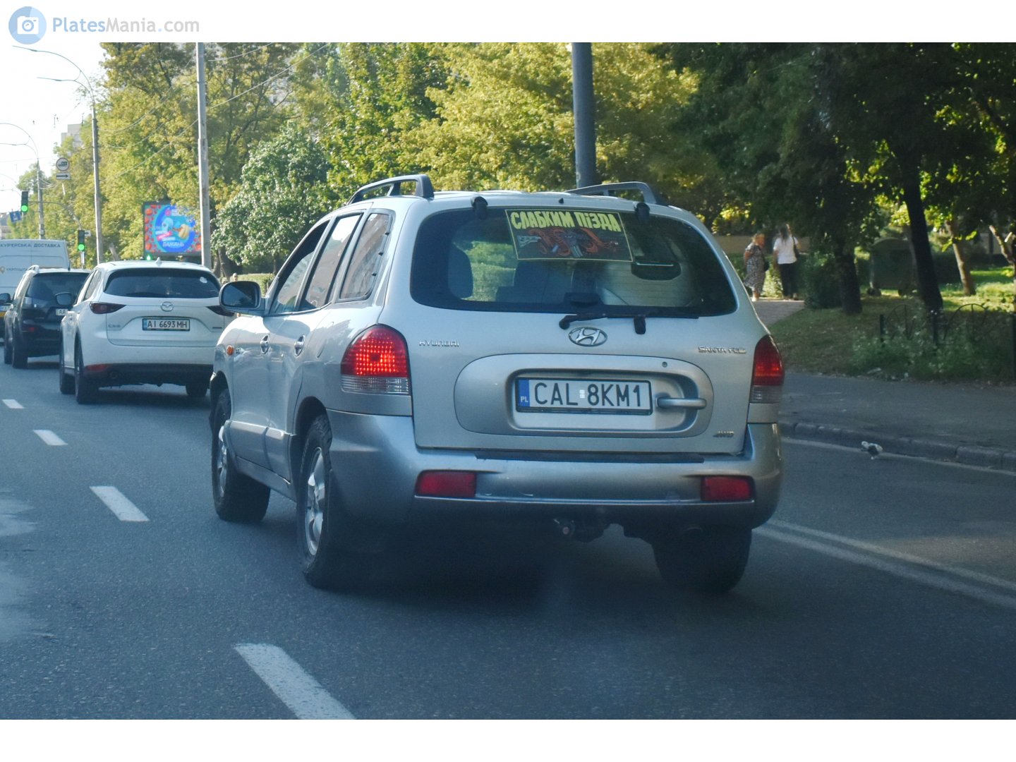 CAL 8KM1, Hyundai Santa Fe 1st gen (Classic) (SM), 2000–2006 (–2012 for RU-market)