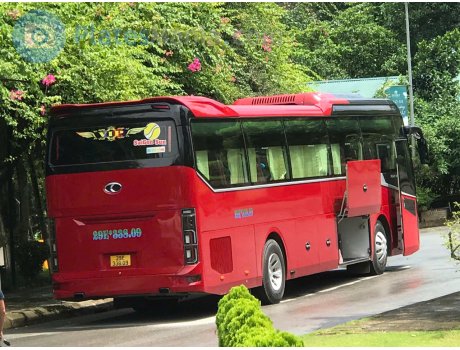 29E-338.09, Thaco Cruizer