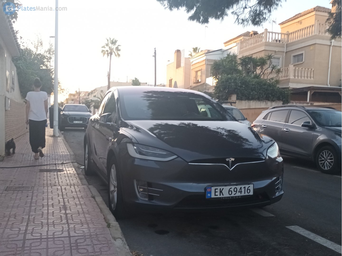 EK 69416, Tesla Model X 1st gen (5YJX), 2015–