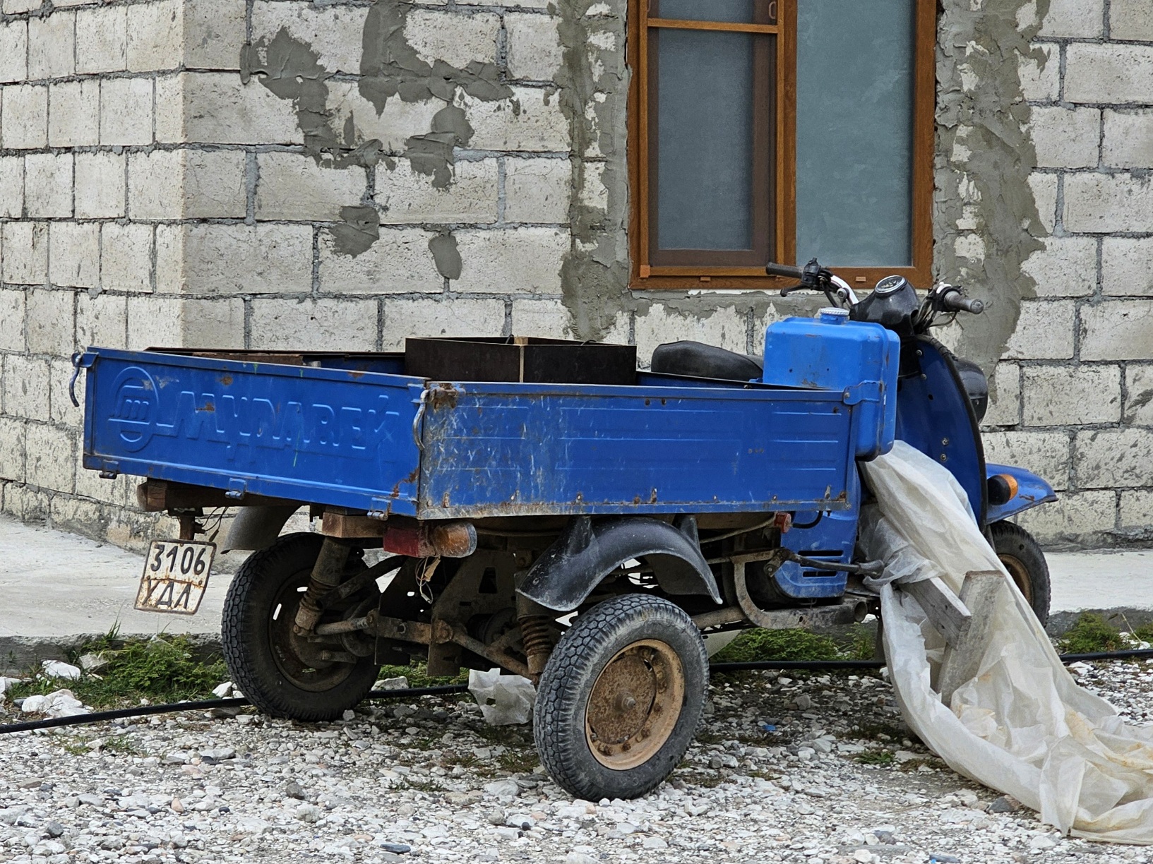 3106 УДЛ, TMZ Муравей 