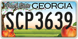 Georgia, ABC 1234