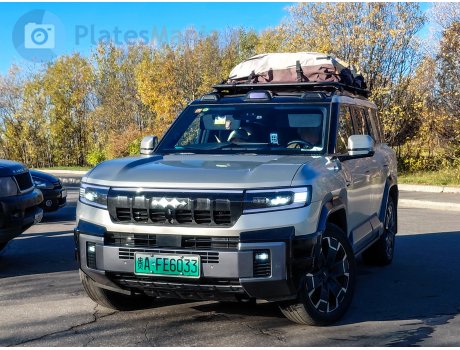 贵A·FE6033, Fangchengbao Leopard (Bao) 8