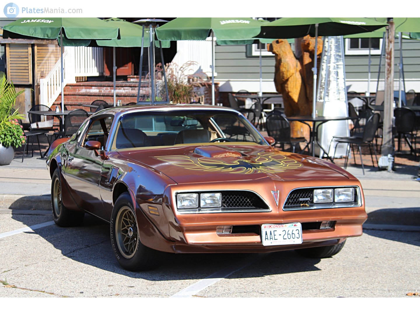 AAE-2663, Pontiac Firebird 2nd gen Coupé (87; F-body), 2nd facelift, 1976–1978