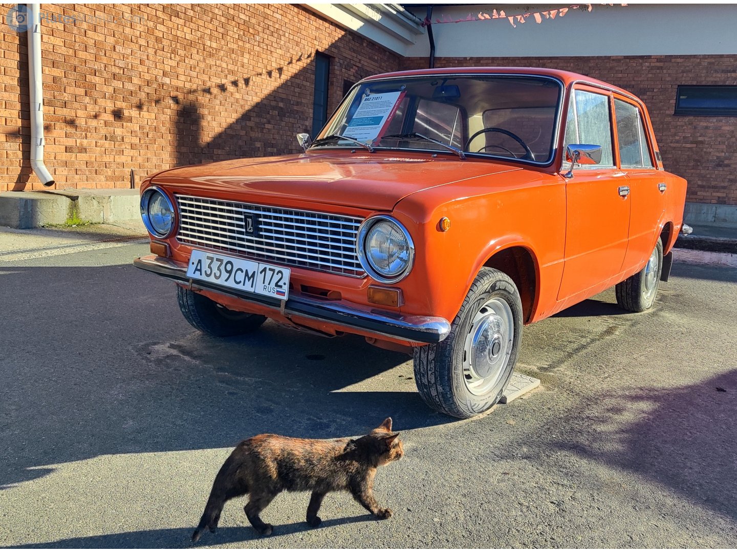 а 339 см 172, Lada (VAZ) 2101 21011/21013, 1974–1988