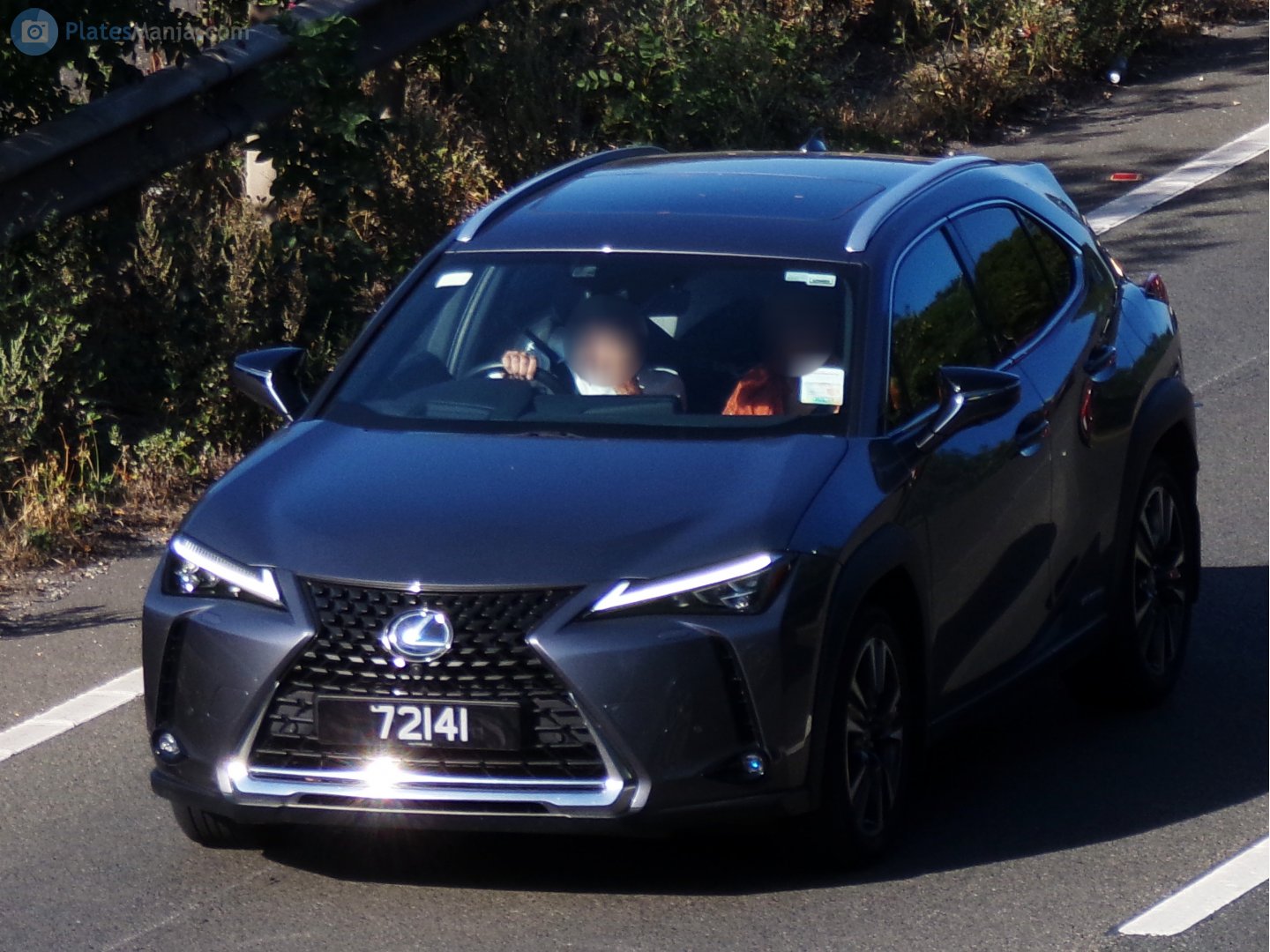 72141, Lexus UX 1st gen (ZA10), 2018–