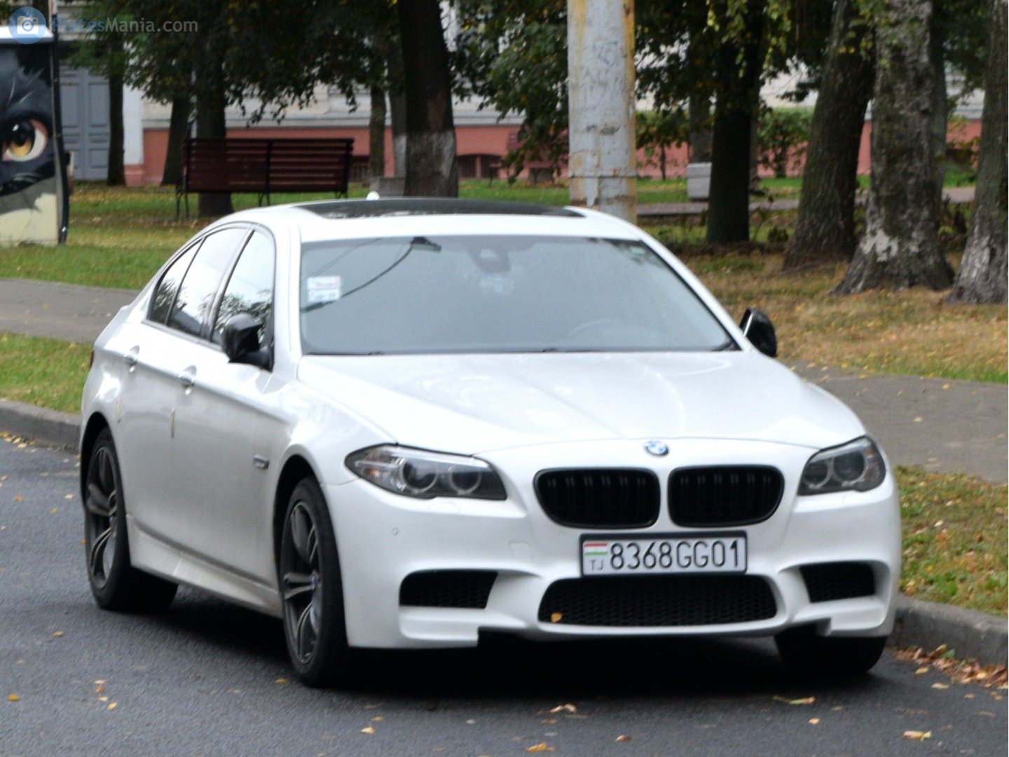 8368GG01, BMW 5 Series 6th gen Sedan (F10/F18), 2010–2017