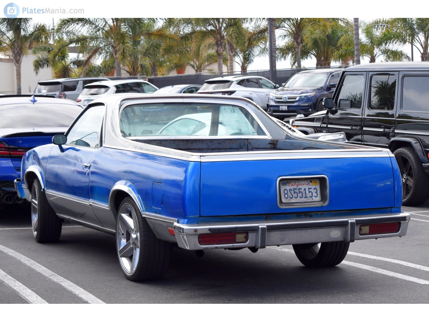 8S55153, Chevrolet El Camino 5th gen (80; G-body), facelift, 1981–1987