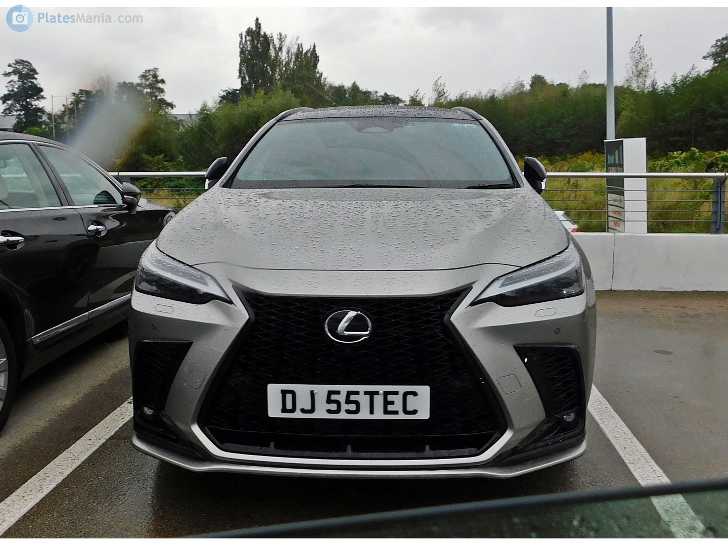 DJ55TEC, Lexus NX 2nd gen (AZ20), 2021–