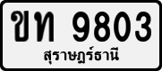 License plate of Thailand, Private owners