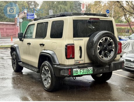 浙B·F31865, Tank 300