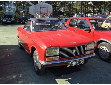 EP-049-DE, Peugeot 204