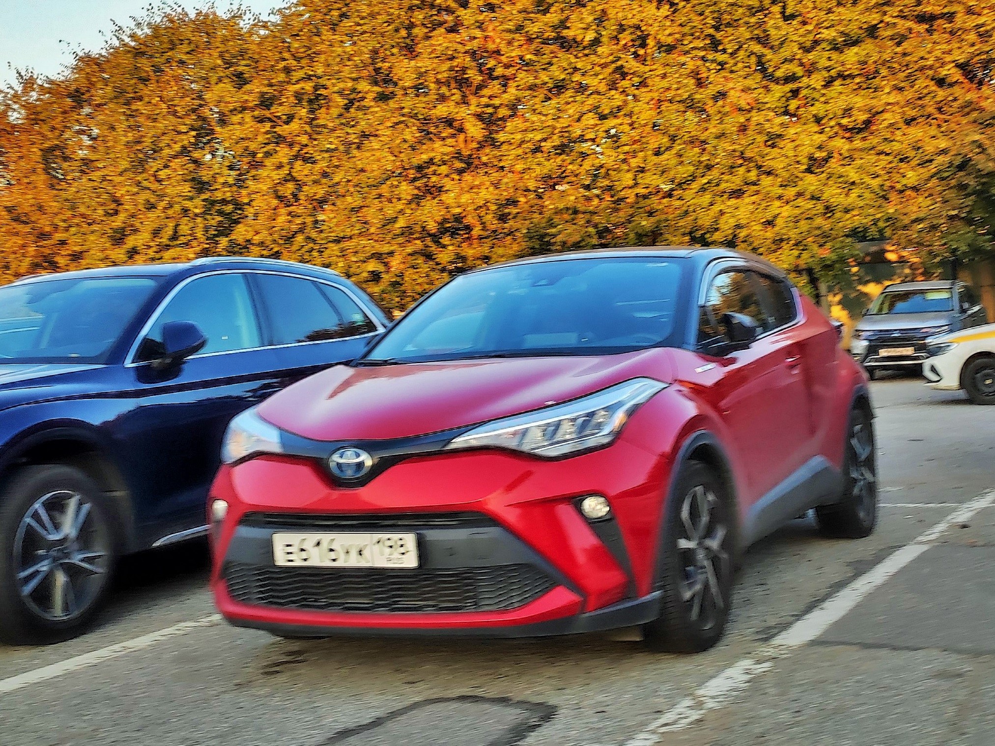 е 616 ук 198, Toyota C-HR 1st gen (AX10/AX50), 2016–2023