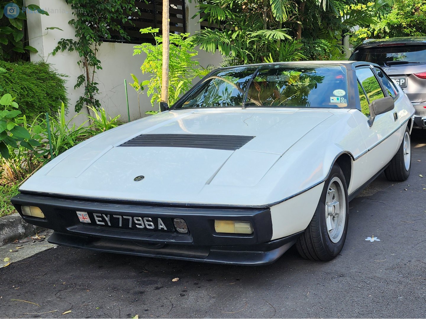 EY 7796 A, Lotus Eclat 