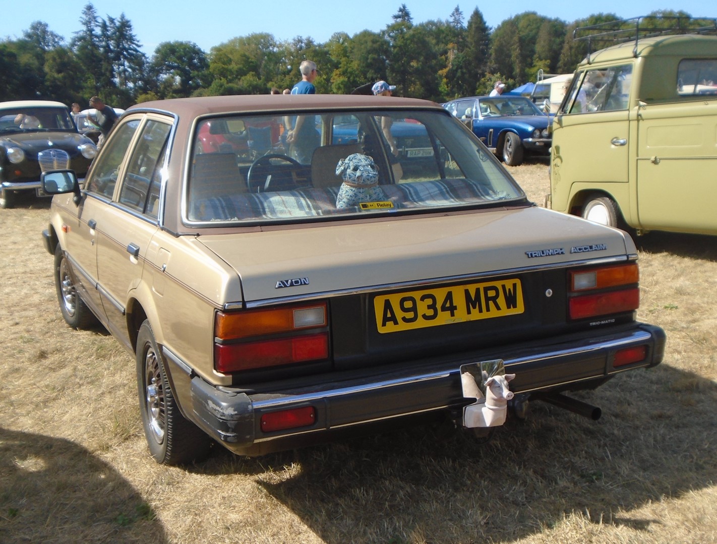 A934MRW, Triumph Acclaim 1st gen, 1981–1984