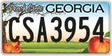 Georgia, ABC 1234