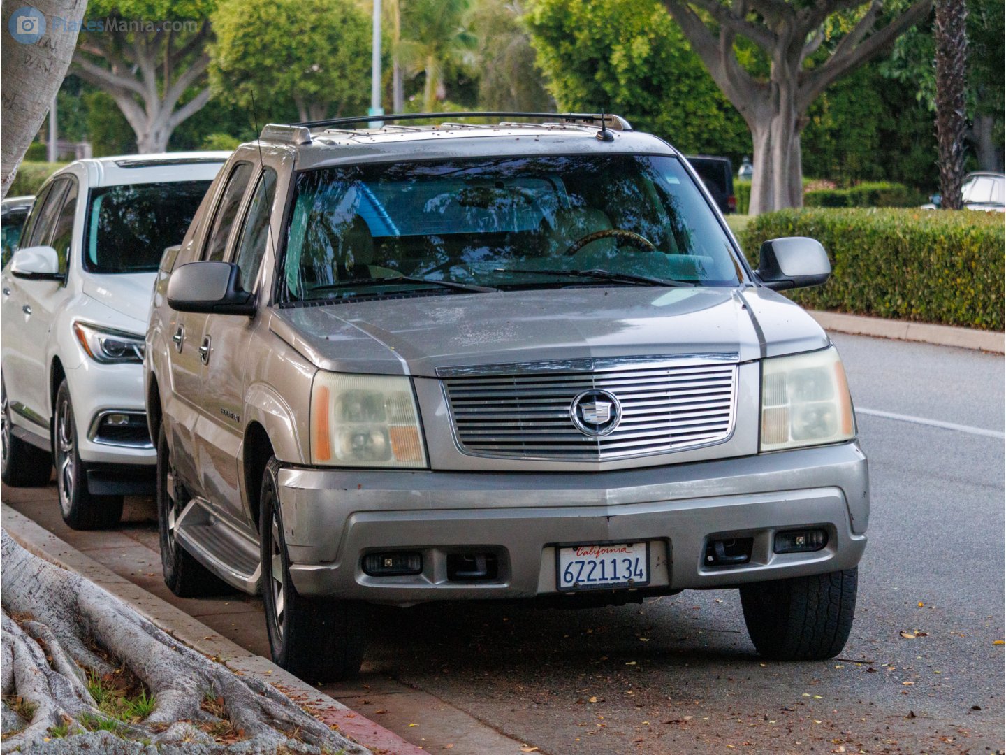 6Z21134, Cadillac Escalade 2nd gen EXT (GMT806), 2001–2006