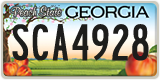 Georgia, ABC 1234