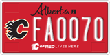 Alberta, Calgary Flames (FA1234)