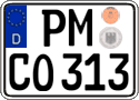 PM CO 313