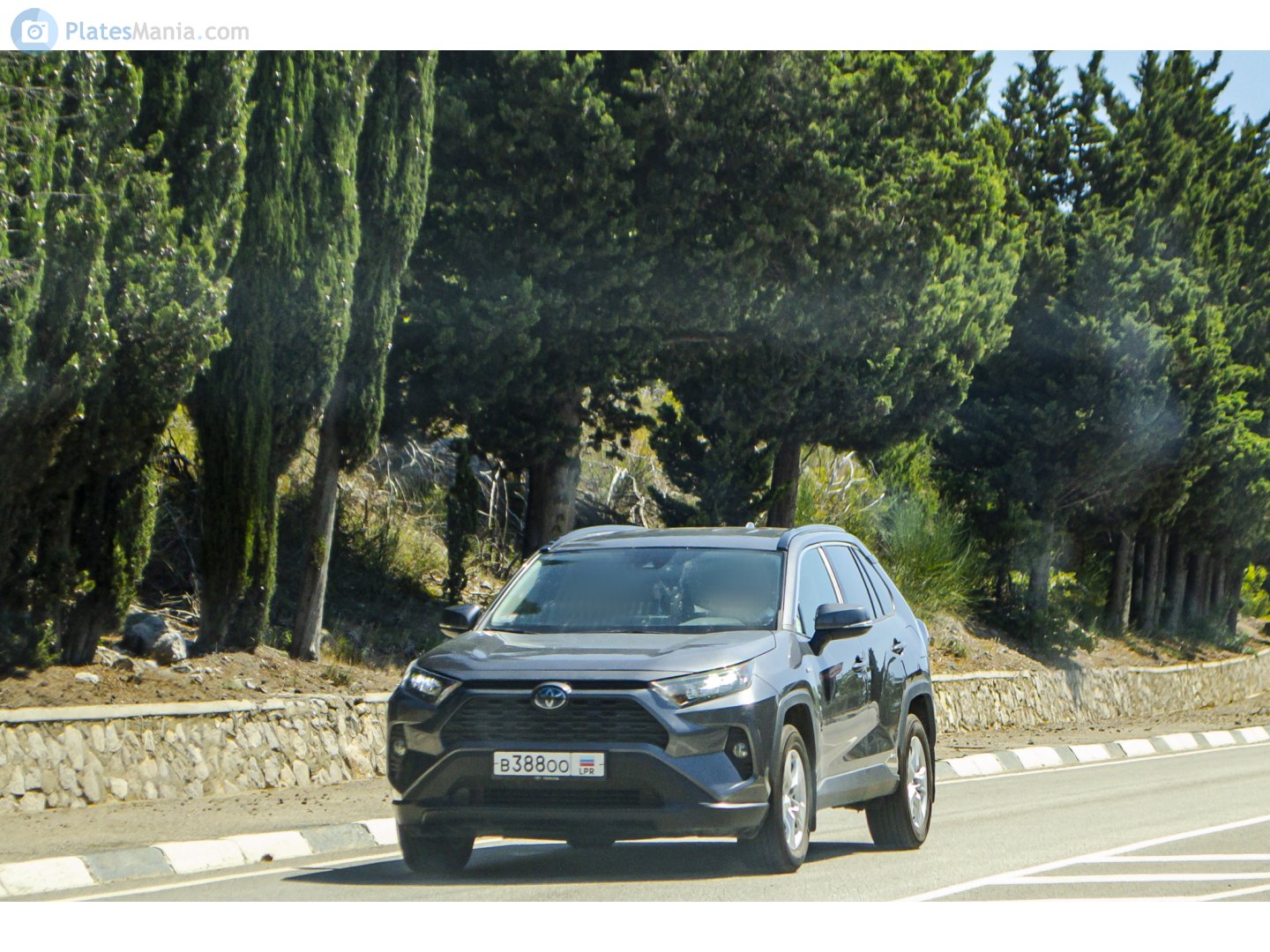 в 388 оо, Toyota RAV4 5th gen (XA50), 2018–