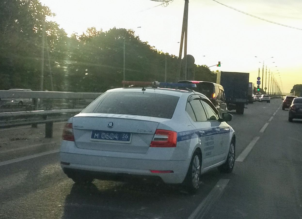 м 0604 36, Skoda Octavia 3rd gen Liftback (A7/5E3), facelift, 2017–2022 (–2023 for CN-market)