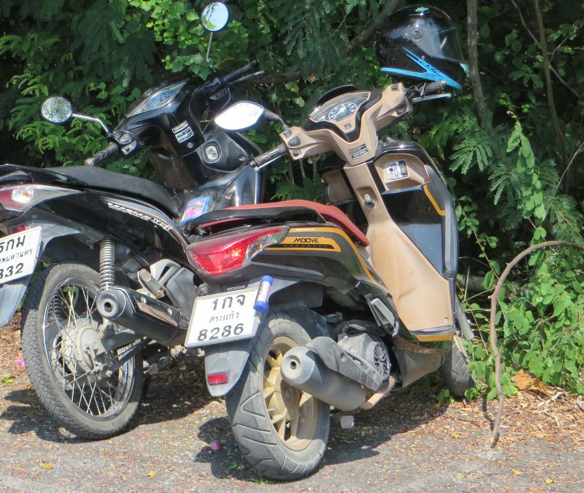 1กจ 8286, Honda Moove 